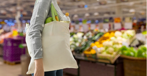 Grocery Shopper Image