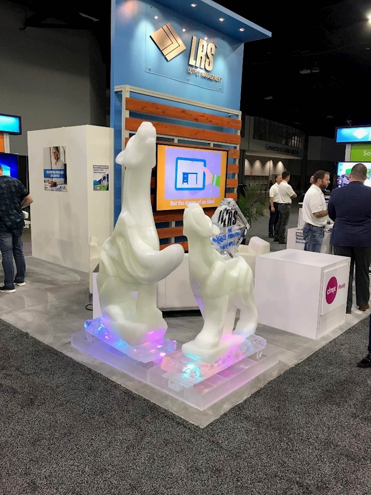 LRS%20Citrix%20Booth%20Ice.jpg