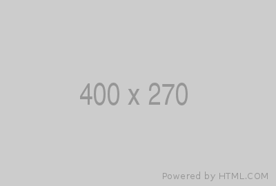 Go to Google website