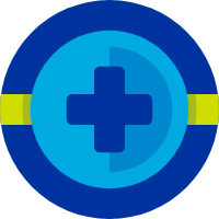 Healthcare Solutions Icon