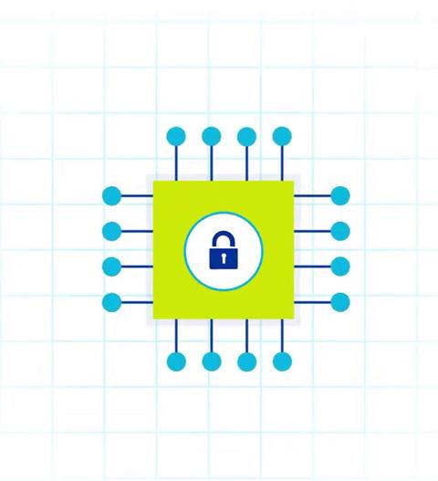 Security microchip with LRS colors